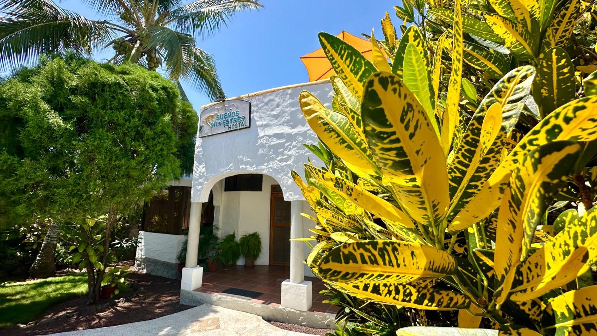Hostal Suenos Silvestres Puerto Ayora  Zewnętrze zdjęcie